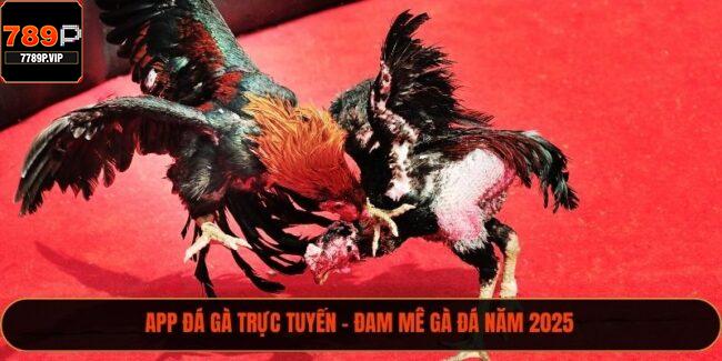 App đá gà trực tuyến