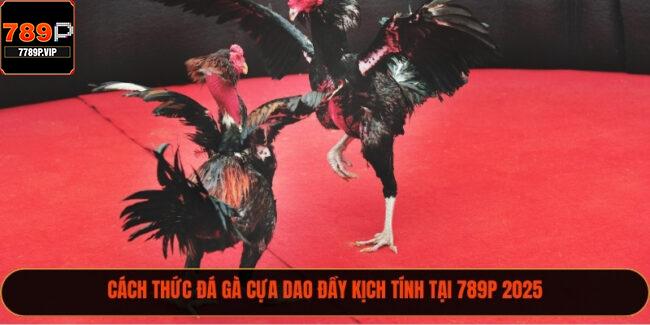 Đá gà cựa dao